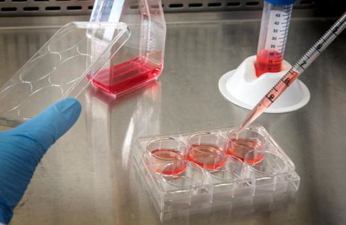 奧浦邁回應(yīng)監(jiān)管問(wèn)詢(xún)，深入解讀產(chǎn)品競(jìng)爭(zhēng)格局與技術(shù)地位