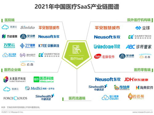 2021年中國醫(yī)療SaaS行業(yè)研究報告 技術(shù)趨勢與咨詢服務(wù)價值洞察